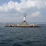 Andrea * فارنا